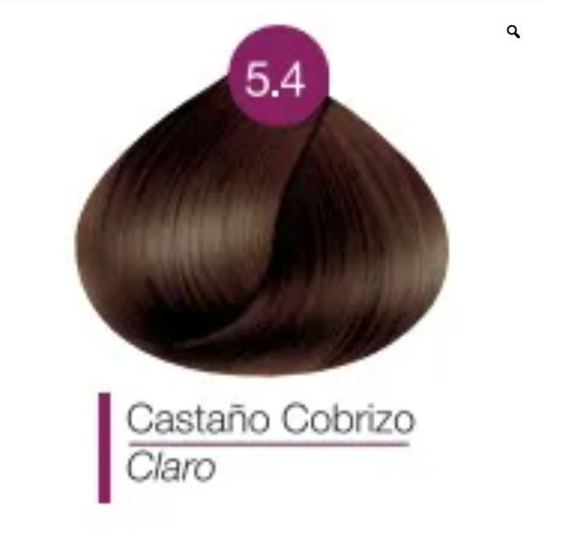 NUEVO Tinte para Cabello Anven Colores tubo de tinte 90g mas bote de crema de perox vol.20 (Copia)