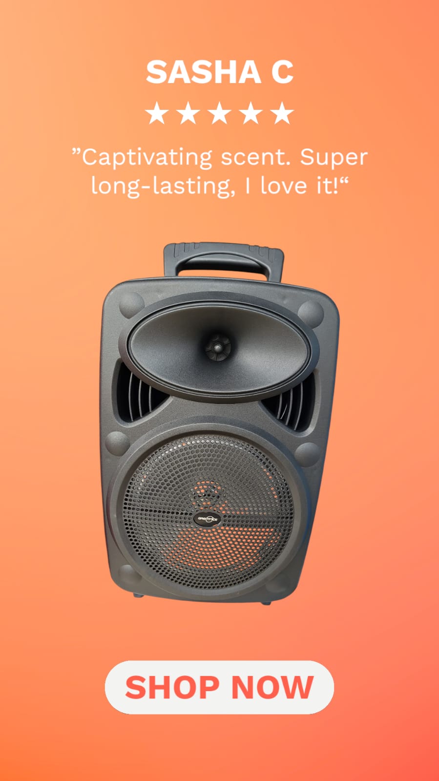 Bocina Bluetooth 8 pulgadas