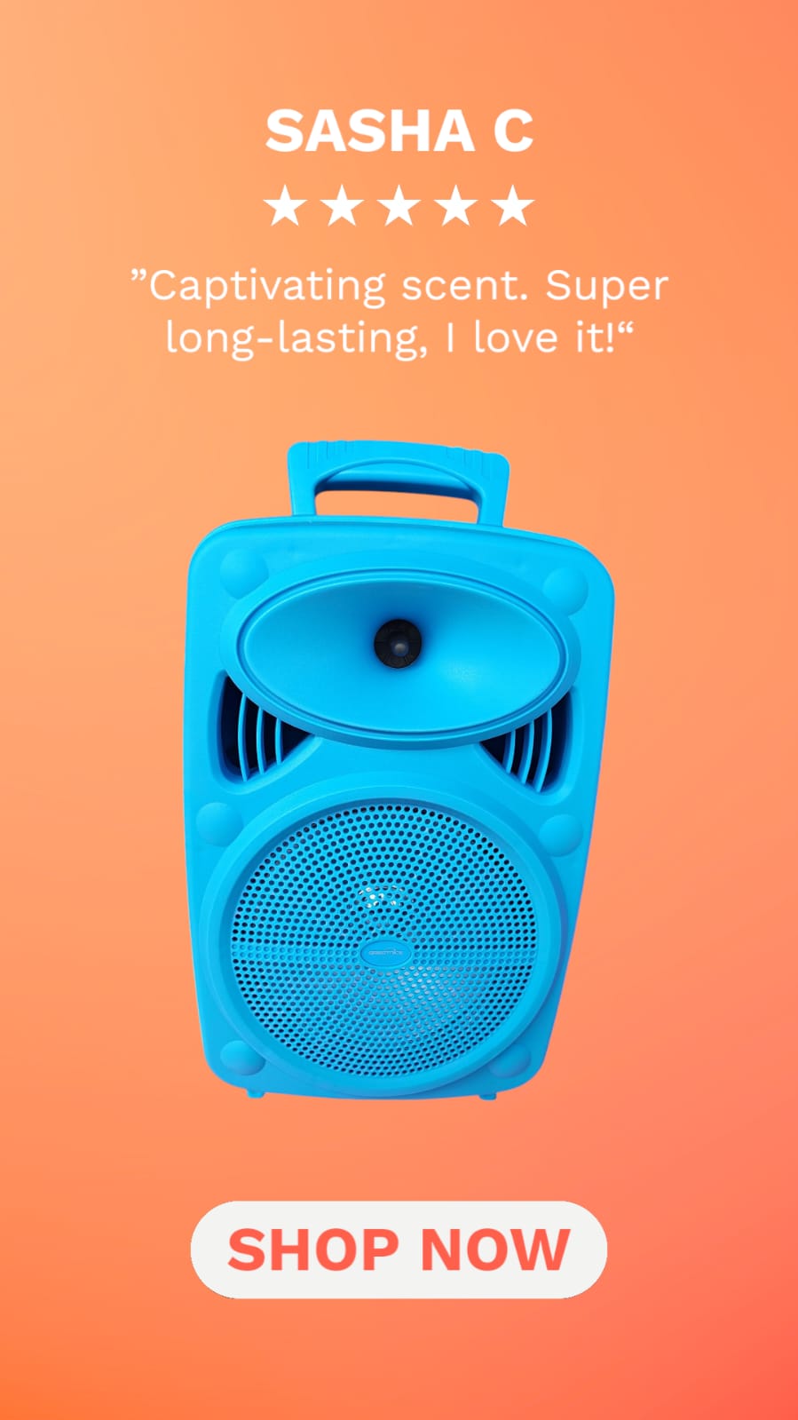 Bocina Bluetooth 8 pulgadas