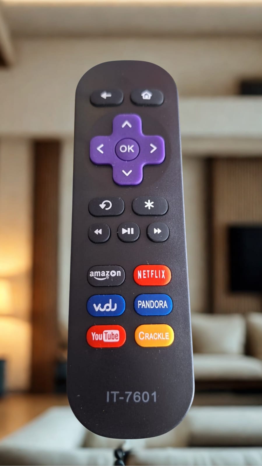 control roku